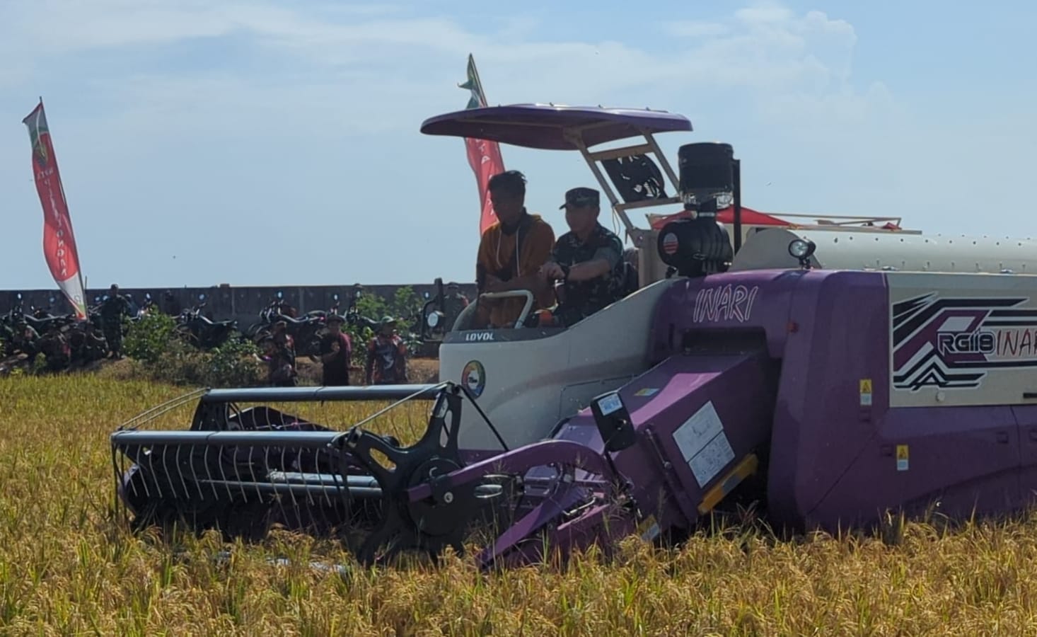 Panen Perdana Padi Biosalin di Sawah Bekas Rob Kota Pekalongan Tembus 5 Ton Per Hektar