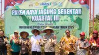 Polres Pekalongan Kota Panen Raya Jagung Serentak, Dukung Swasembada Pangan Nasional