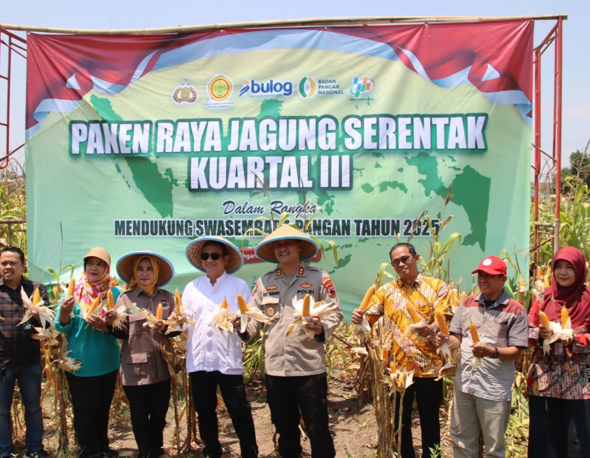Polres Pekalongan Kota Panen Raya Jagung Serentak, Dukung Swasembada Pangan Nasional