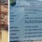 Proyek Gedung Inspektorat Pekalongan Rp5,49 Miliar Disorot, GNPK RI Minta Pengawasan Ketat