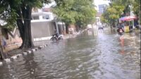 LSM Robin Hood 23 Soroti Banjir di Kota Pekalongan, Desak Perbaikan Drainase