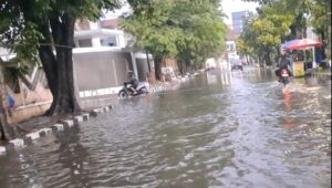 LSM Robin Hood 23 Soroti Banjir di Kota Pekalongan, Desak Perbaikan Drainase