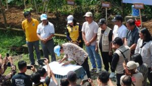 Sekber Wartawan Indonesia Tanam Sorgum dan Bunga Matahari di Boyolali