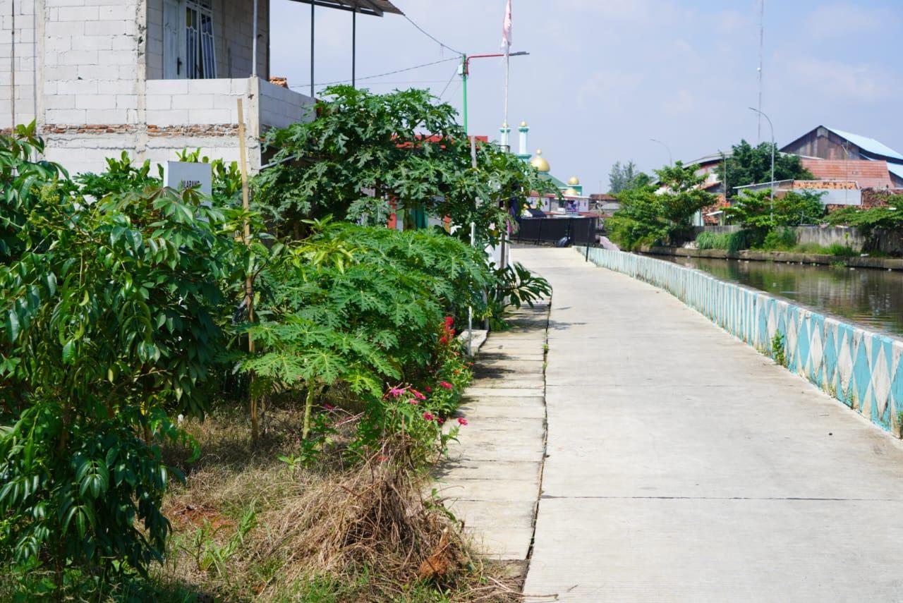 Tak Lagi Terendam, Kampung Bugisan Pekalongan Bertahan di Tengah Cuaca Ekstrem