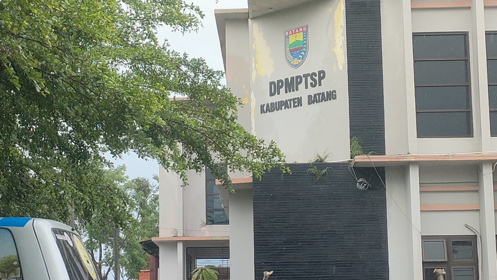 Bau Menyengat dan Serbuan Lalat, Warga Batang Laporkan Kandang Ayam ke Bupati