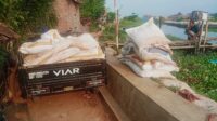 Pemkot Pekalongan Gerak Cepat Tangani Tanggul Jebol Kali Bremi, Ribuan Sandbag Diterjunkan Pemkot Pekalongan Gerak Cepat Tangani Tanggul Jebol Kali Bremi, Ribuan Sandbag Diterjunkan