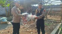 Balon Udara Bermuatan Petasan Rusak Rumah di Pekalongan, Polisi Ungkap Pelaku Anak-anak