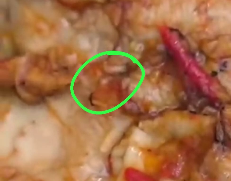 Video Dugaan Makanan Tak Layak di Program MBG Pekalongan Beredar, Publik Soroti Pengawasan