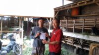 Hewan Kurban dari Luar Daerah Diawasi Ketat, Dinperpa Pekalongan Turunkan Tim Veteriner
