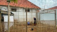 Dukung Ketahanan Pangan, Rutan Pekalongan Kembangkan Budidaya Ayam Kampung