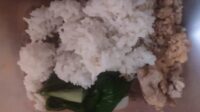 Wali Murid Keluhkan Menu MBG di TK Pos PAUD Anggrek Desa Pesalakan, Pertanyakan Aspek Gizi Wali Murid Keluhkan Menu MBG di TK Pos PAUD Anggrek Desa Pesalakan, Pertanyakan Aspek Gizi