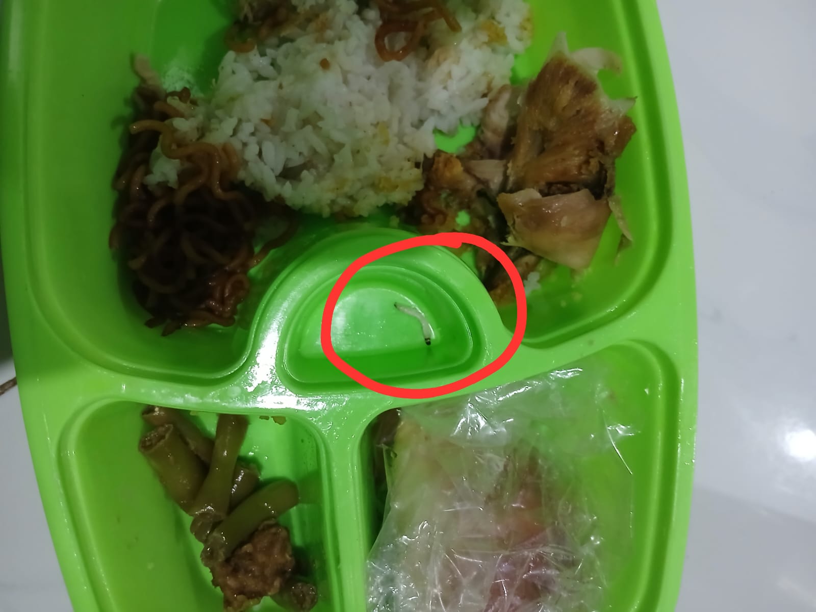 Ulat Ditemukan pada Menu MBG Balita di Posyandu Poncol Pekalongan, Orang Tua Minta Evaluasi