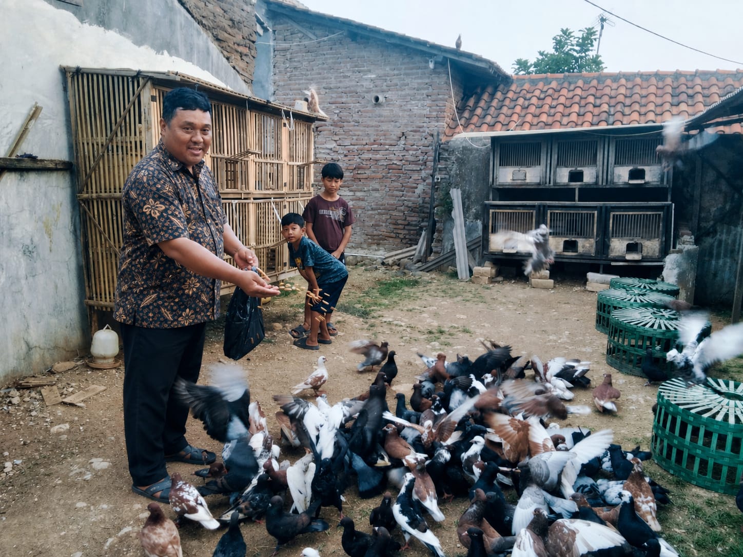 Hobi Sejak Kelas 3 SD, Sadat Kini Sukses Ternak Ratusan Merpati di Pekalongan