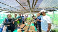 Urban Farming Pekalongan Naik Kelas, 21 Kelompok Didampingi Kembangkan Produk hingga Pasar
