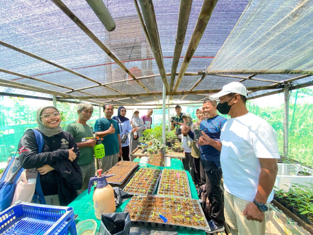 Urban Farming Pekalongan Naik Kelas, 21 Kelompok Didampingi Kembangkan Produk hingga Pasar