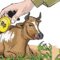 Bantuan Sapi Rp100 Juta di Petungkriyono Disorot, RAB 8 Ekor yang Datang Hanya 7, hingga 4 Sapi Sempat Ditarik Pedagang