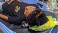 Diduga Pekalongan Tidak Baik-baik Saja, Agus Semut Desak APH Bertindak