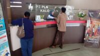 PLN Pekalongan Gencarkan Sosialisasi Bahaya Listrik, Warga Diimbau Waspada Pasang Umbul-Umbul dan Bangunan Dekat Jaringan PLN Pekalongan Gencarkan Sosialisasi Bahaya Listrik, Warga Diimbau Waspada Pasang Umbul-Umbul dan Bangunan Dekat Jaringan